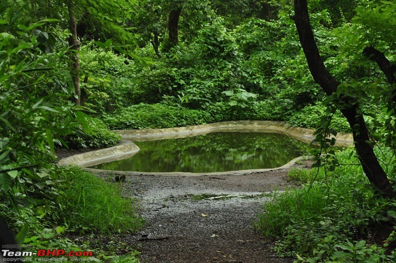 Monsoon 2013: Freshness reloaded (Ratnagiri, Dabhosa-Jawhar, Shilonda, etc)-063-dsc_1613.jpg