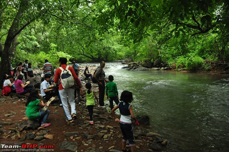 Monsoon 2013: Freshness reloaded (Ratnagiri, Dabhosa-Jawhar, Shilonda, etc)-068-dsc_1621.jpg