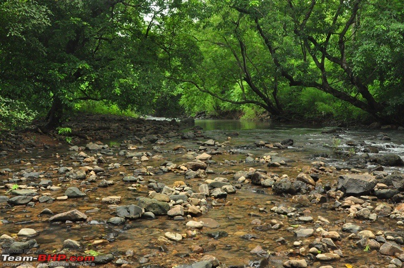 Monsoon 2013: Freshness reloaded (Ratnagiri, Dabhosa-Jawhar, Shilonda, etc)-077-dsc_1663.jpg