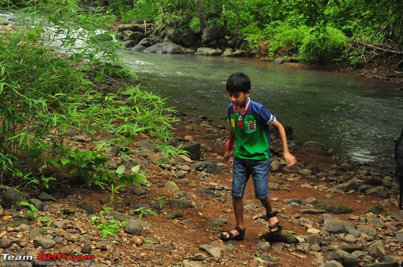 Monsoon 2013: Freshness reloaded (Ratnagiri, Dabhosa-Jawhar, Shilonda, etc)-081-dsc_1670.jpg