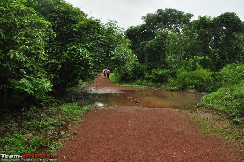 Monsoon 2013: Freshness reloaded (Ratnagiri, Dabhosa-Jawhar, Shilonda, etc)-089-dsc_1688.jpg