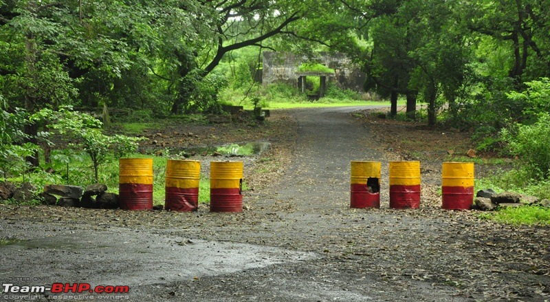 Monsoon 2013: Freshness reloaded (Ratnagiri, Dabhosa-Jawhar, Shilonda, etc)-094-dsc_1698.jpg