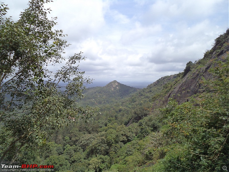 As the mist rolled in: Some fleeting moments @ Wayanad-dsc01461.jpg