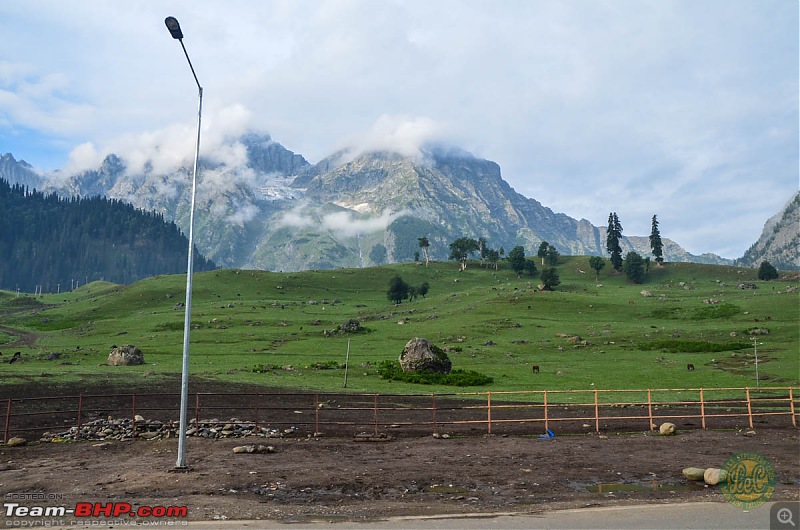 25-0-40 DownUnder to UpOver - LEH'd 2013-lecday72.jpg