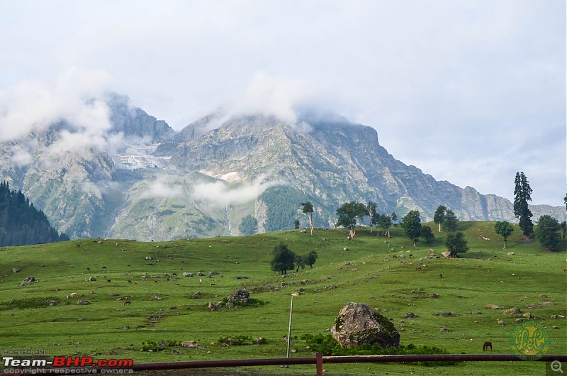 25-0-40 DownUnder to UpOver - LEH'd 2013-lecday73.jpg