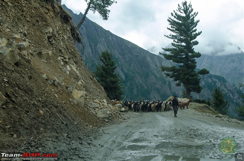 25-0-40 DownUnder to UpOver - LEH'd 2013-lecday727.jpg