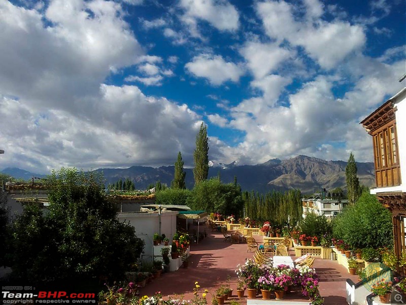 25-0-40 DownUnder to UpOver - LEH'd 2013-view-omasila.jpg