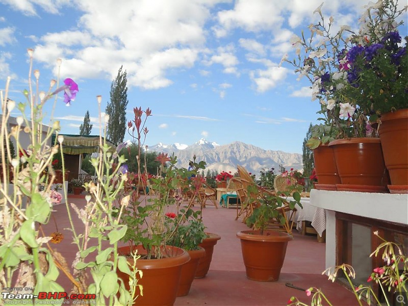 25-0-40 DownUnder to UpOver - LEH'd 2013-hotel-garden.jpg