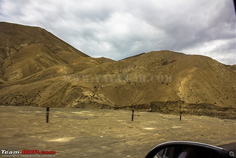 The Yayawar Group wanders in Ladakh & Spiti-5.31.jpg
