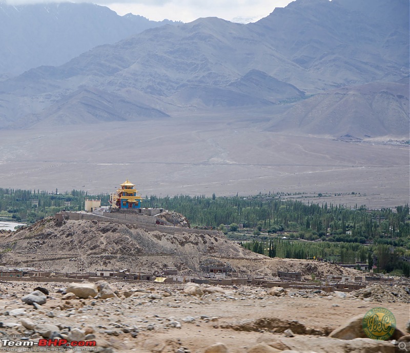 25-0-40 DownUnder to UpOver - LEH'd 2013-lecday12leh2.jpg