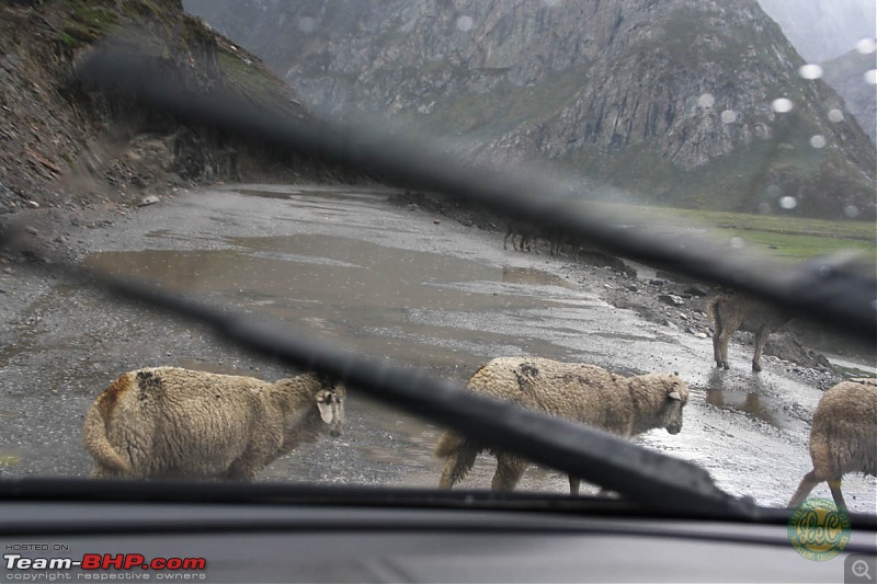 25-0-40 DownUnder to UpOver - LEH'd 2013-lecday13srinagar9.jpg