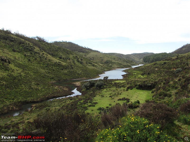 Queen of the hills beckons - Ooty-img_2002.jpg