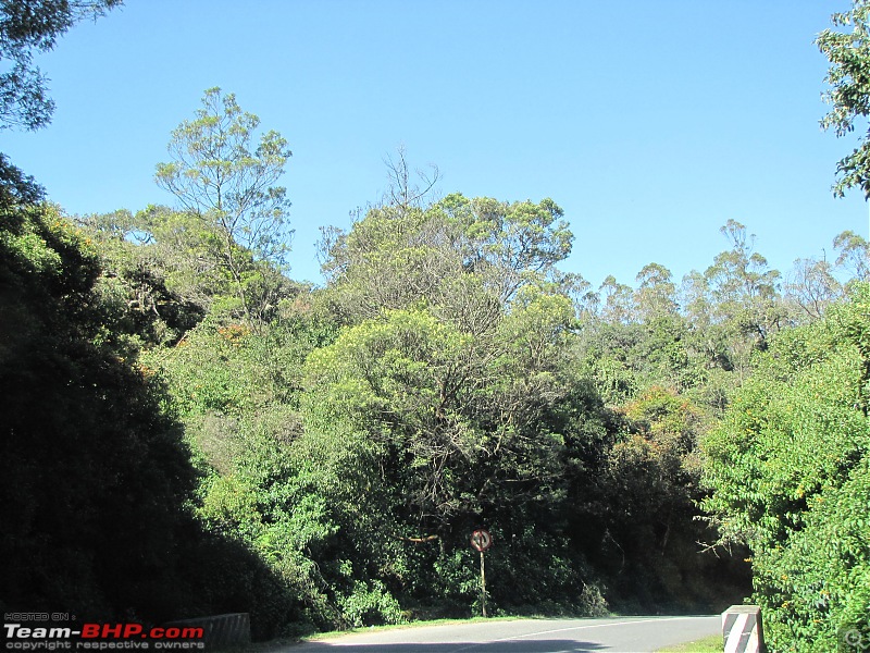 Queen of the hills beckons - Ooty-img_2300.jpg