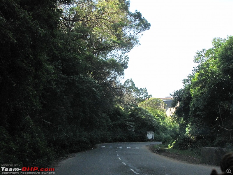 Queen of the hills beckons - Ooty-img_2304.jpg