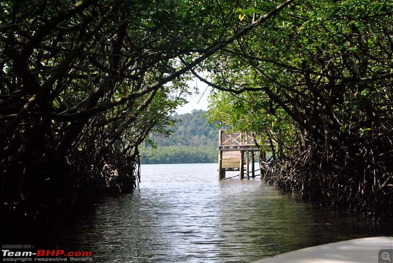 Photologue: Andaman & Nicobar Islands. Paradise on Earth!-dsc_0401.jpg