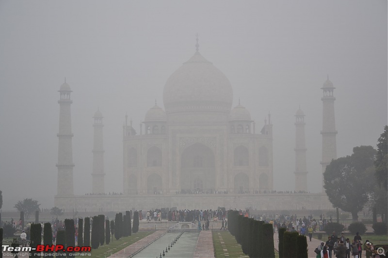Just The Taj - Delhi - Agra - Delhi-dsc_5659.jpg