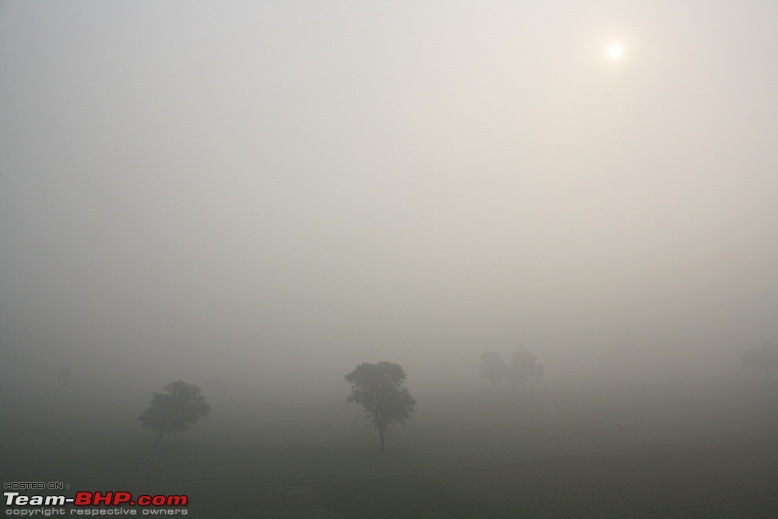 Driving from Kolkata to Bumthang (Bhutan)-bhagalpur-fog.jpg