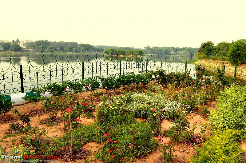 Photologue: The Lakes of Bangalore-478012.jpg