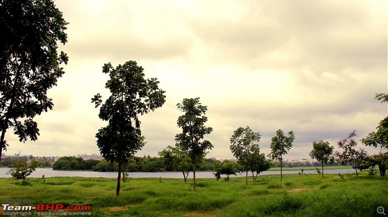 Photologue: The Lakes of Bangalore-madiwala-lake1.jpg