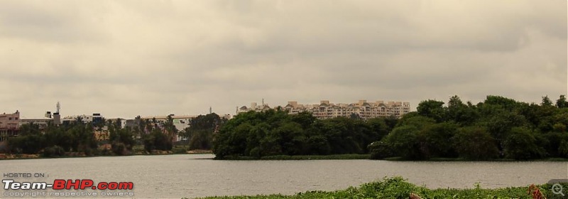 Photologue: The Lakes of Bangalore-madiwala-lake2.jpg