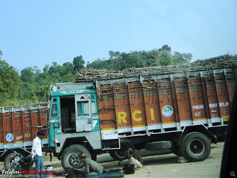 Southwards from Lucknow: To Mysore and further-dsc05851.jpg