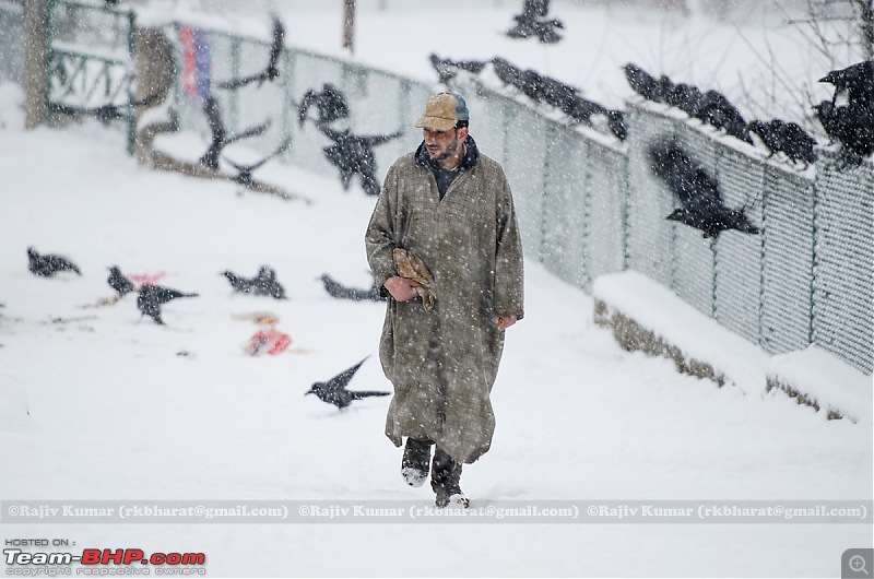 Kashmir - Heaven, A Winter experience-kashmirwinter-3-8.jpg