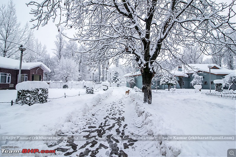 Kashmir - Heaven, A Winter experience-kashmir-winter-4.jpg