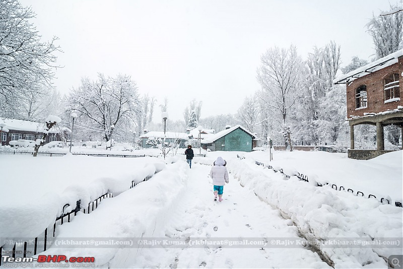 Kashmir - Heaven, A Winter experience-kashmir-winter-8.jpg