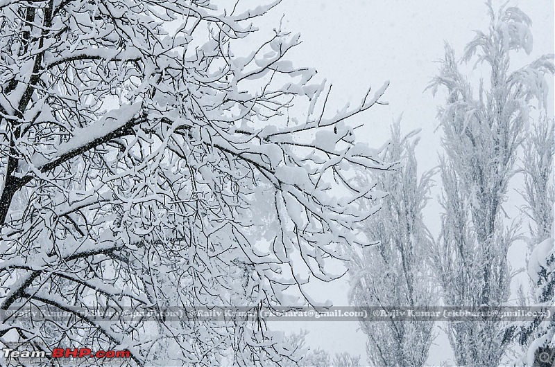 Kashmir - Heaven, A Winter experience-kashmir-winter-11.jpg
