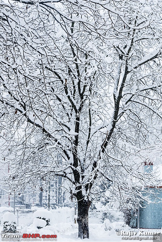 Kashmir - Heaven, A Winter experience-kashmir-winter-12.jpg