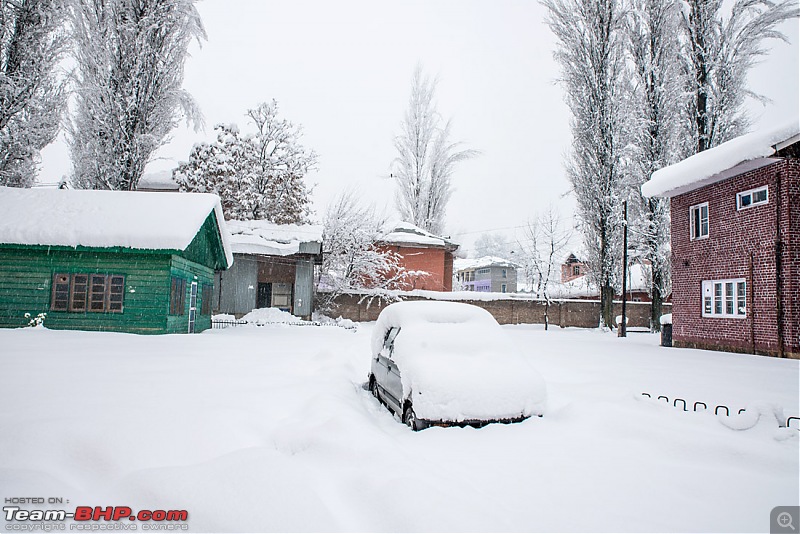 Kashmir - Heaven, A Winter experience-kashmir-winter-16.jpg