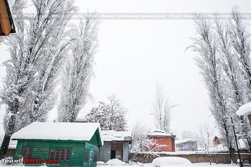 Kashmir - Heaven, A Winter experience-kashmir-winter-17.jpg