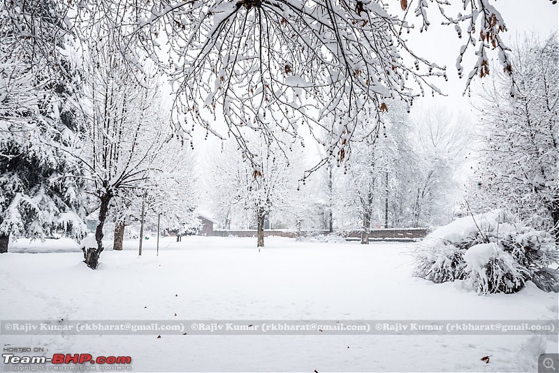 Kashmir - Heaven, A Winter experience-kashmir-winter-22.jpg