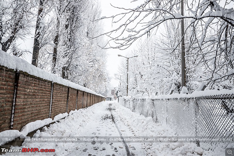 Kashmir - Heaven, A Winter experience-kashmir-winter-23.jpg