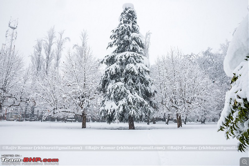 Kashmir - Heaven, A Winter experience-kashmir-winter-25.jpg