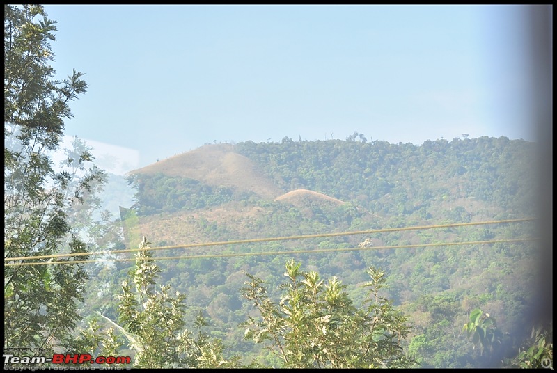 Bangalore - Thirunelli - Bandipur Trip : Forests & Fire-dsc_0234.jpg