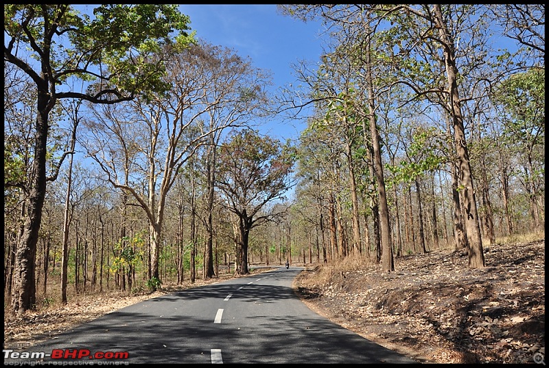 Bangalore - Thirunelli - Bandipur Trip : Forests & Fire-dsc_0261.jpg