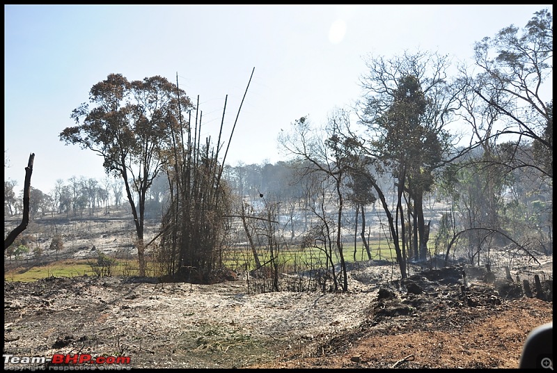 Bangalore - Thirunelli - Bandipur Trip : Forests & Fire-dsc_0480.jpg