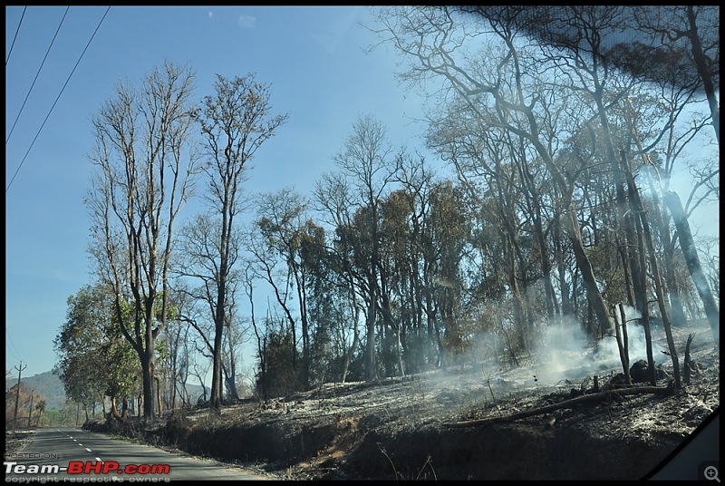 Bangalore - Thirunelli - Bandipur Trip : Forests & Fire-dsc_0488.jpg