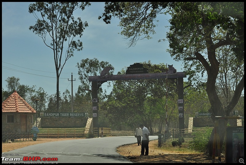 Bangalore - Thirunelli - Bandipur Trip : Forests & Fire-dsc_0583.jpg