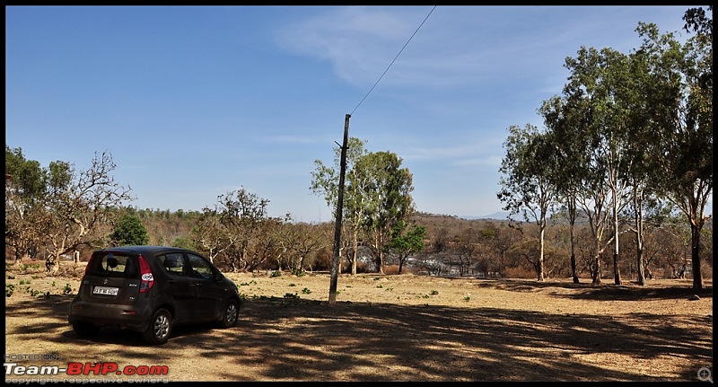 Bangalore - Thirunelli - Bandipur Trip : Forests & Fire-dsc_0623_1_2_3_4_fused.jpg