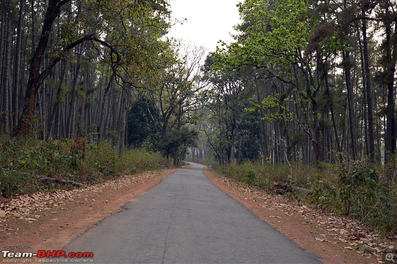 A short trip to Daringbadi and the nearby areas-dsc_0113.jpg