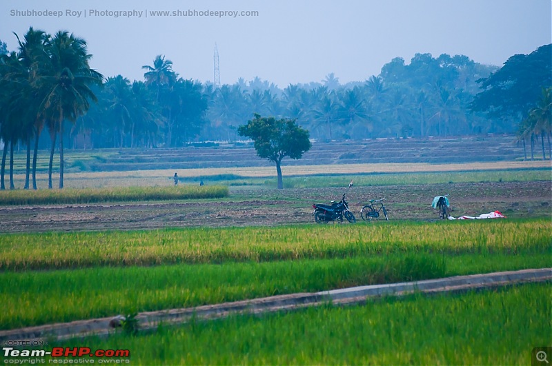 Early mornings of a remote South Indian village-dsc_0041.jpg