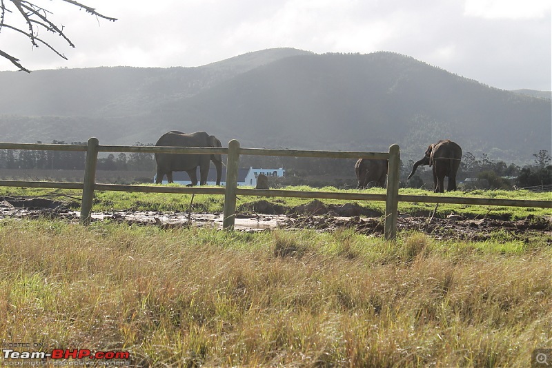Splendid South Africa-elephant-santuary-7.jpg
