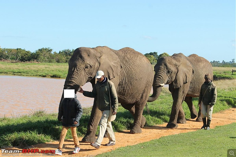 Splendid South Africa-elephant-santuary-3.jpg