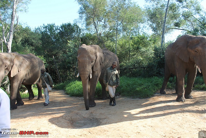 Splendid South Africa-elephant-santuary-5.jpg