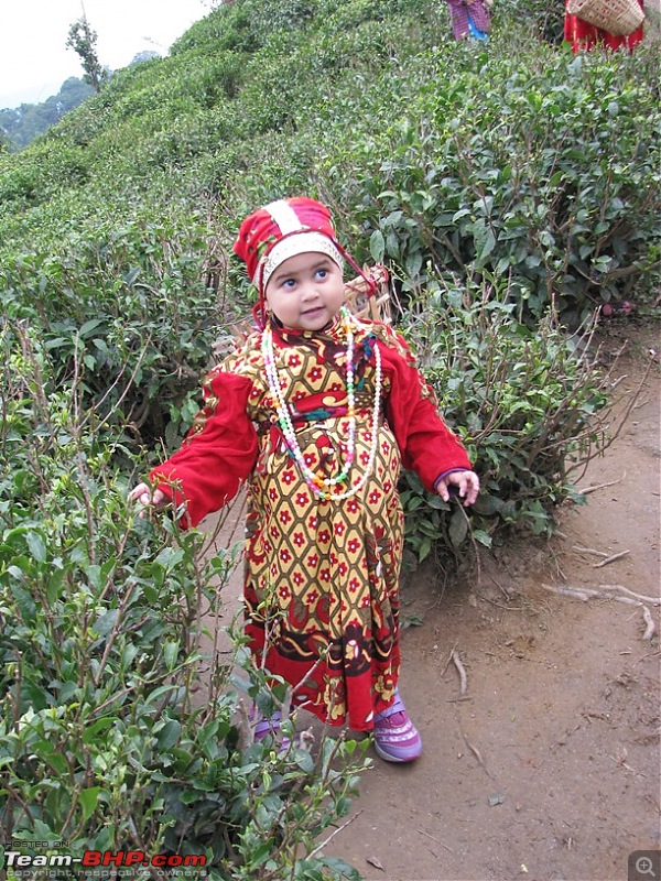 Her special day 24. 2 . 2023 ❤️ Singamari Darjeeling | Instagram