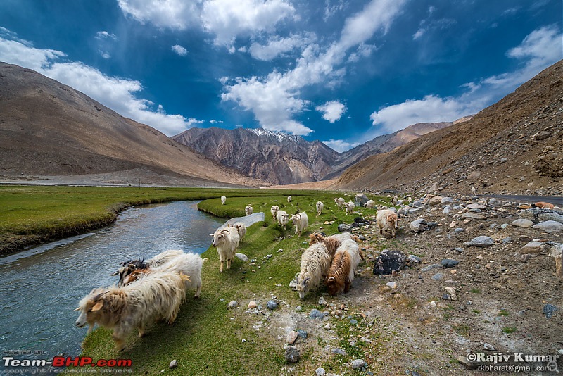 Ladakh, once again: A laid-back trip-ladakh-34.jpg