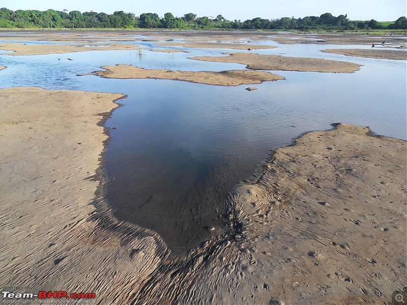 God's own country in the Caribbean...Trinidad & Tobago-sdc10841-2.jpg