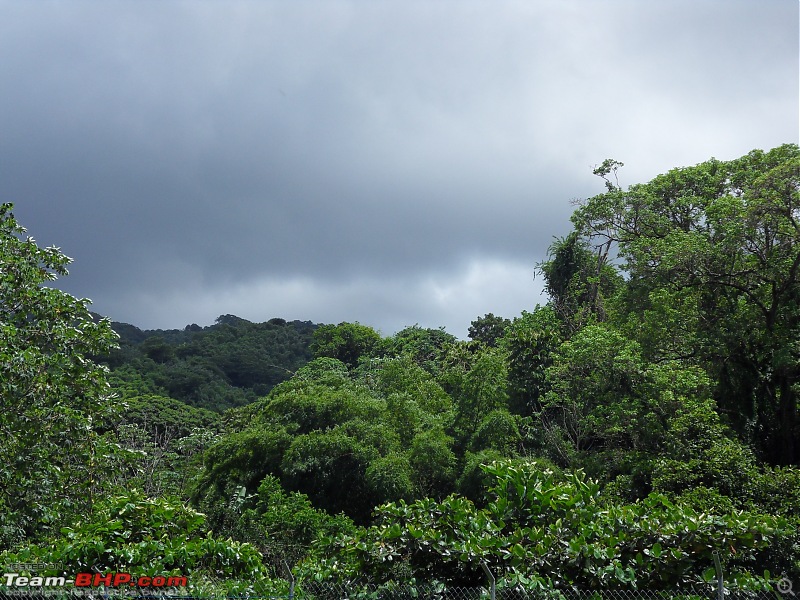 God's own country in the Caribbean...Trinidad & Tobago-sdc12404.jpg